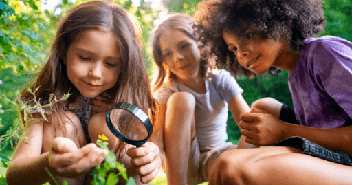 Exploring Nature-Outdoor Learning Activities for Preschoolers